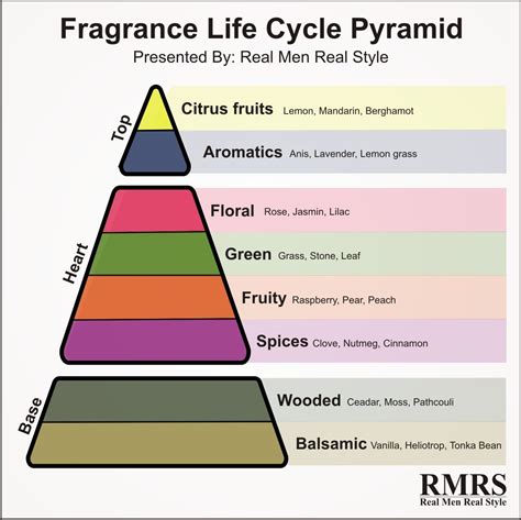 anatomy of fragrance|fragrance life cycle pyramid.